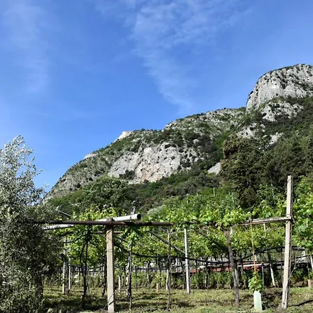 Tessari Villa Rivoli Veronese